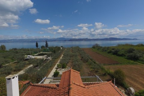 Вилла с 7 спальнями в Аркадия, Греция №108067 1