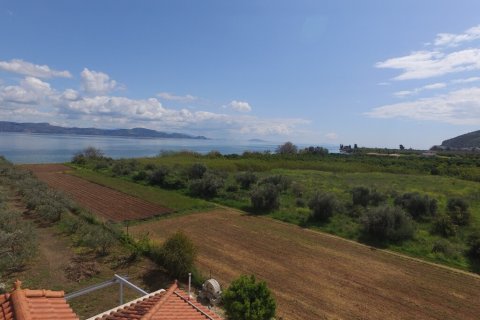 Вилла с 7 спальнями в Аркадия, Греция №108067 2