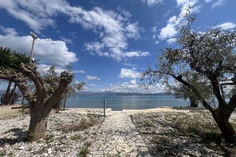 Вилла с 7 спальнями в Аркадия, Греция №108067 17