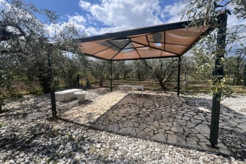 Вилла с 7 спальнями в Аркадия, Греция №108067 15