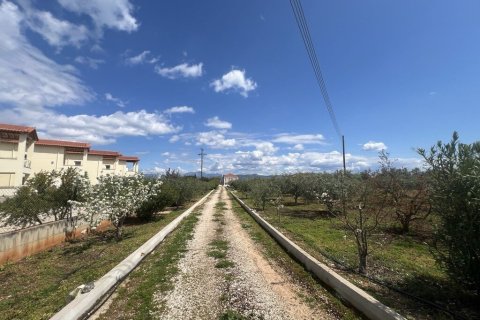 Вилла с 7 спальнями в Аркадия, Греция №108067 25