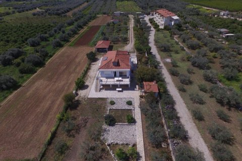 Вилла с 7 спальнями в Аркадия, Греция №108067 10