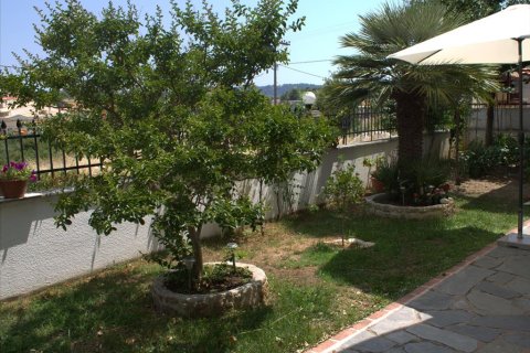 470m² Villa en Chalkidiki, Greece No. 109726 28