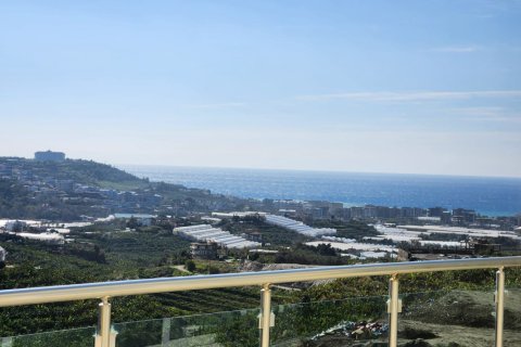 3 bedrooms Villa in Lien Chieu, Vietnam No. 14451 22