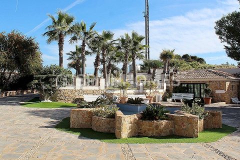 11000m² Commercial property in Phu My, Vietnam No. 25663 7