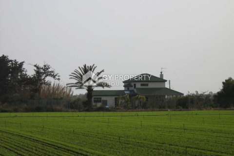 3 bedrooms House in Pervolia, Cyprus No. 71014 8