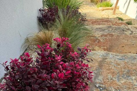 7 dormitorios House en Agios Tychonas, Cyprus No. 73707 16