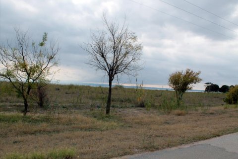 Земельный участок 4000м² в Халкидики, Греция №60058 2