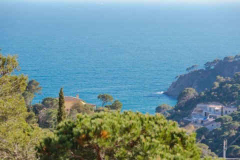 Land in Tossa de Mar, Spain No. 27216