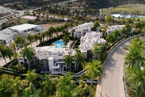 3 bedrooms Penthouse in Dinh An, Vietnam No. 88244 12