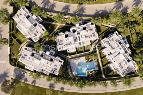 3 bedrooms Penthouse in Dinh An, Vietnam No. 88244 15