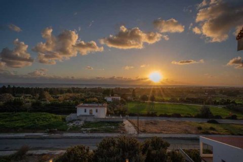 4 chambres Villa à Paphos, Cyprus No. 79685 10