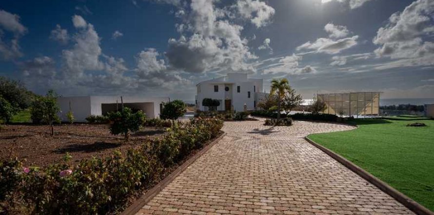 4 chambres Villa à Paphos, Cyprus No. 79685