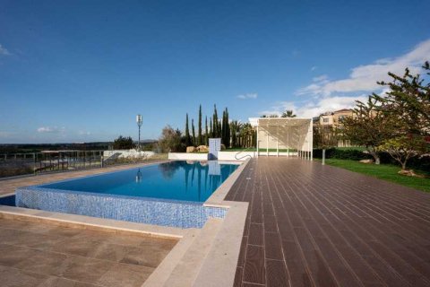 4 chambres Villa à Paphos, Cyprus No. 79685 8