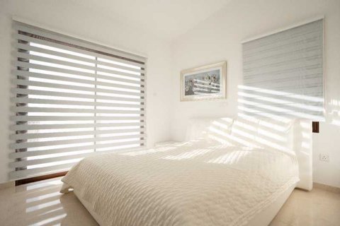 4 chambres Villa à Paphos, Cyprus No. 79685 6