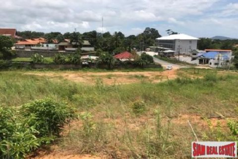 8000m² Land in Nai Harn Beach, Thailand No. 95778 2