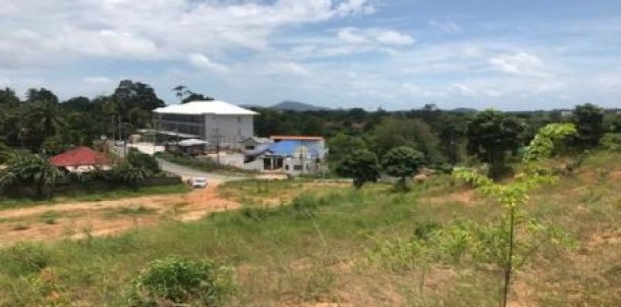 8000m² Land in Nai Harn Beach, Thailand No. 95778