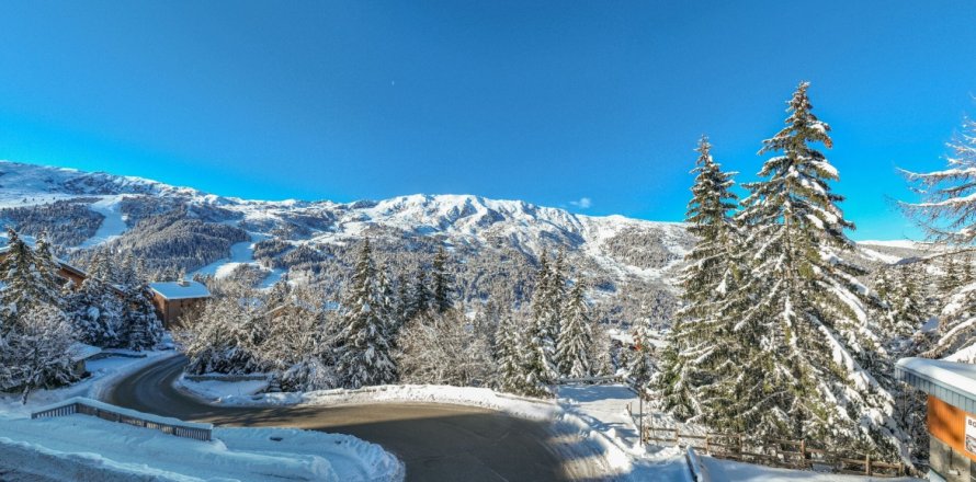 4 bedrooms House in Les Allues, France No. 100146