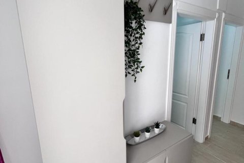 2 dormitorios Apartment en Chau Lang, Vietnam No. 13710 4