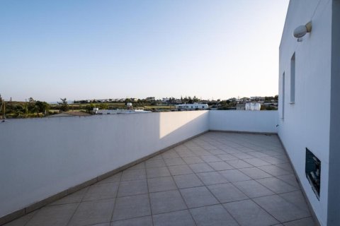 Hotel in Nicosia, Cyprus No. 104976 6