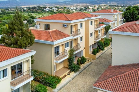 5395m² Commercial property in Paphos, Cyprus No. 104960 8