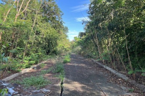 13580m² Land in Bang Na, Thailand No. 97351 7