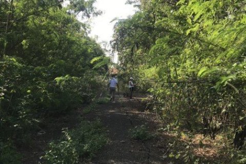 13580m² Land in Bang Na, Thailand No. 97351 9