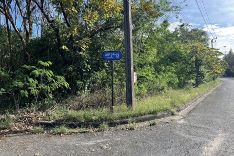 13580m² Land in Bang Na, Thailand No. 97351 8