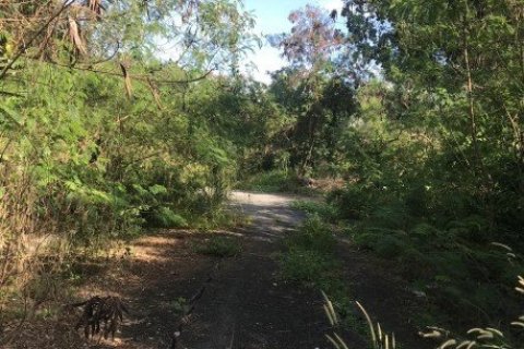 13580m² Land in Bang Na, Thailand No. 97351 4