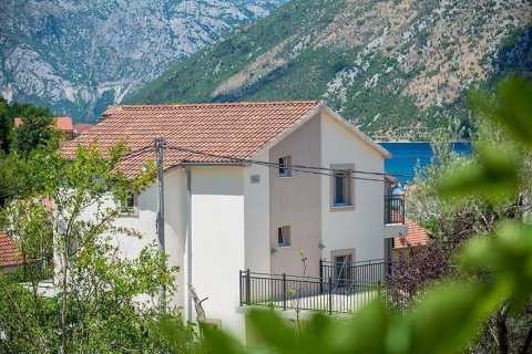 6 bedrooms House in Kotor, Montenegro No. 66773 2