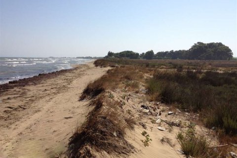 Land en Elis, Greece No. 24647 2