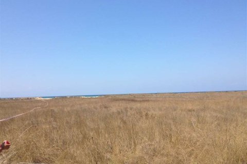 Land en Elis, Greece No. 24647 10