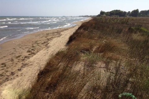 Land en Elis, Greece No. 24647 4