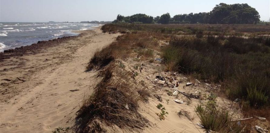 Land en Elis, Greece No. 24647