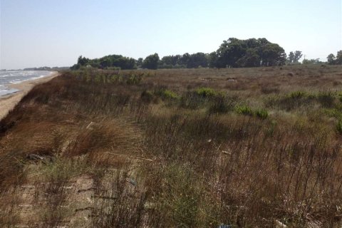 Land en Elis, Greece No. 24647 7