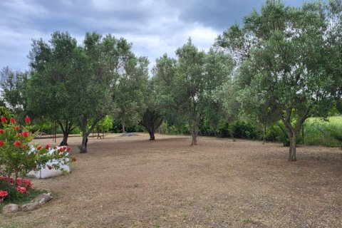 3 dormitorios House en Chalkidiki, Greece No. 107840 19