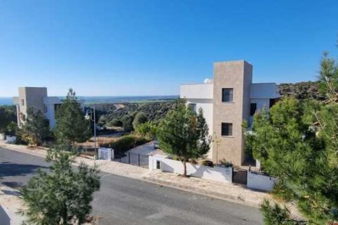 4 bedrooms Villa in Kouklia, Cyprus No. 101109 3