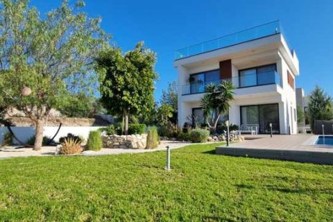 4 bedrooms Villa in Kouklia, Cyprus No. 101109 1