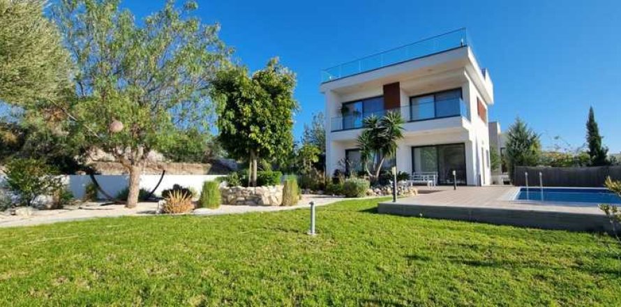 4 bedrooms Villa in Kouklia, Cyprus No. 101109