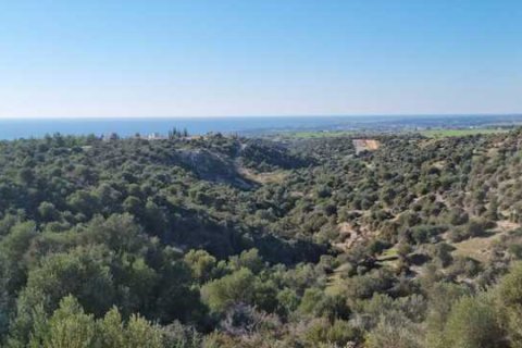 4 bedrooms Villa in Kouklia, Cyprus No. 101109 5