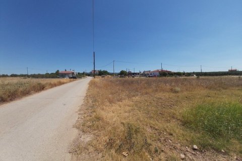 12300m² Land in Polygyros, Greece No. 56237 7