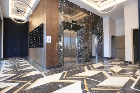 2 bedrooms Apartment in Phu Tan, Vietnam No. 21991 8