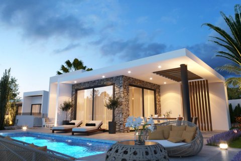 4 bedrooms Villa in Paphos, Cyprus No. 99820 1