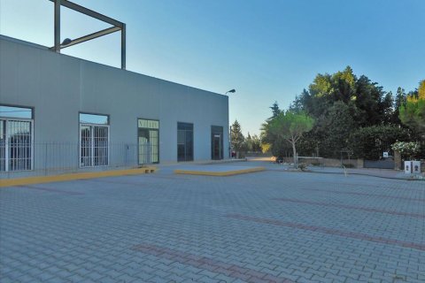 1400m² House in Koropi, Greece No. 59420 1