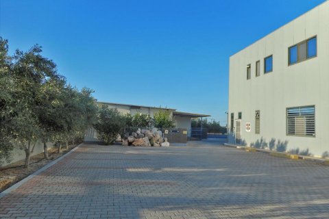 1400m² House in Koropi, Greece No. 59420 4