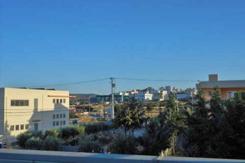 1400m² House in Koropi, Greece No. 59420 5